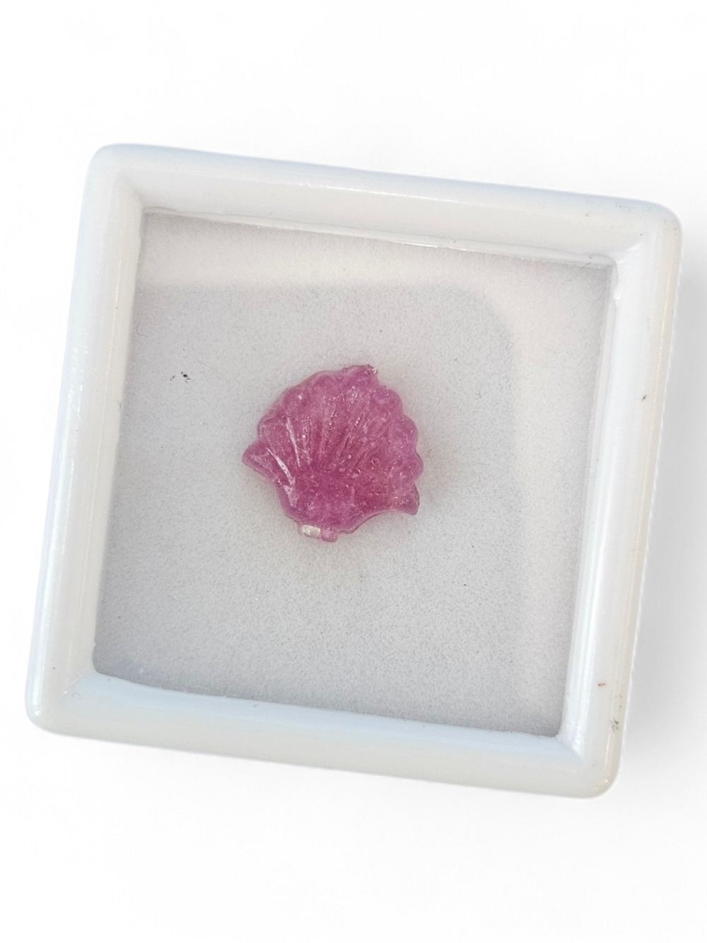 Carved Shell Gemstone Cabochon